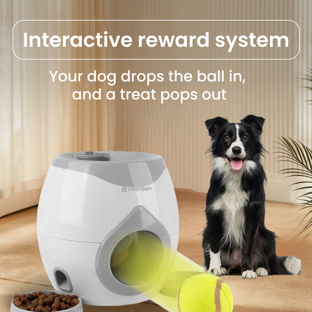FetchMateTreat Dispenser