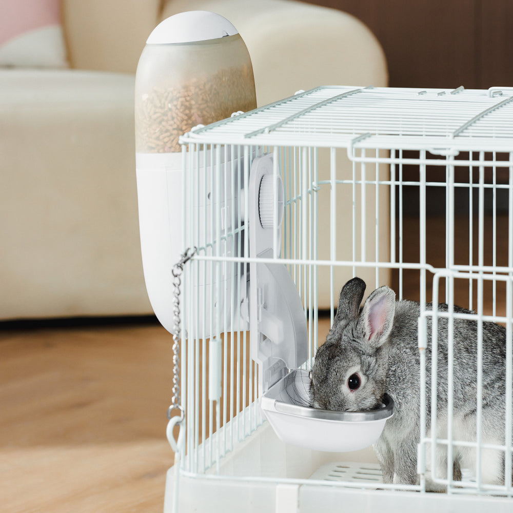 Hoppy Small Animal Camera Feeder