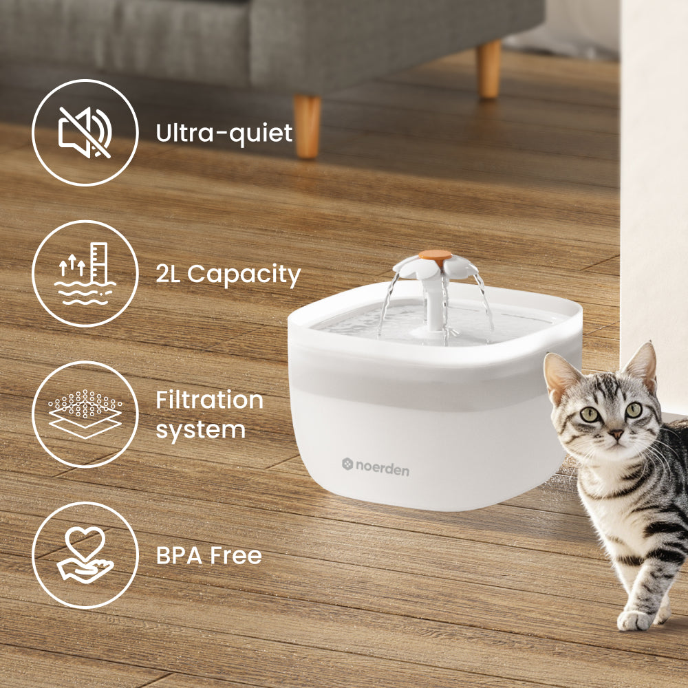 PawQuench Pet Water Dispenser