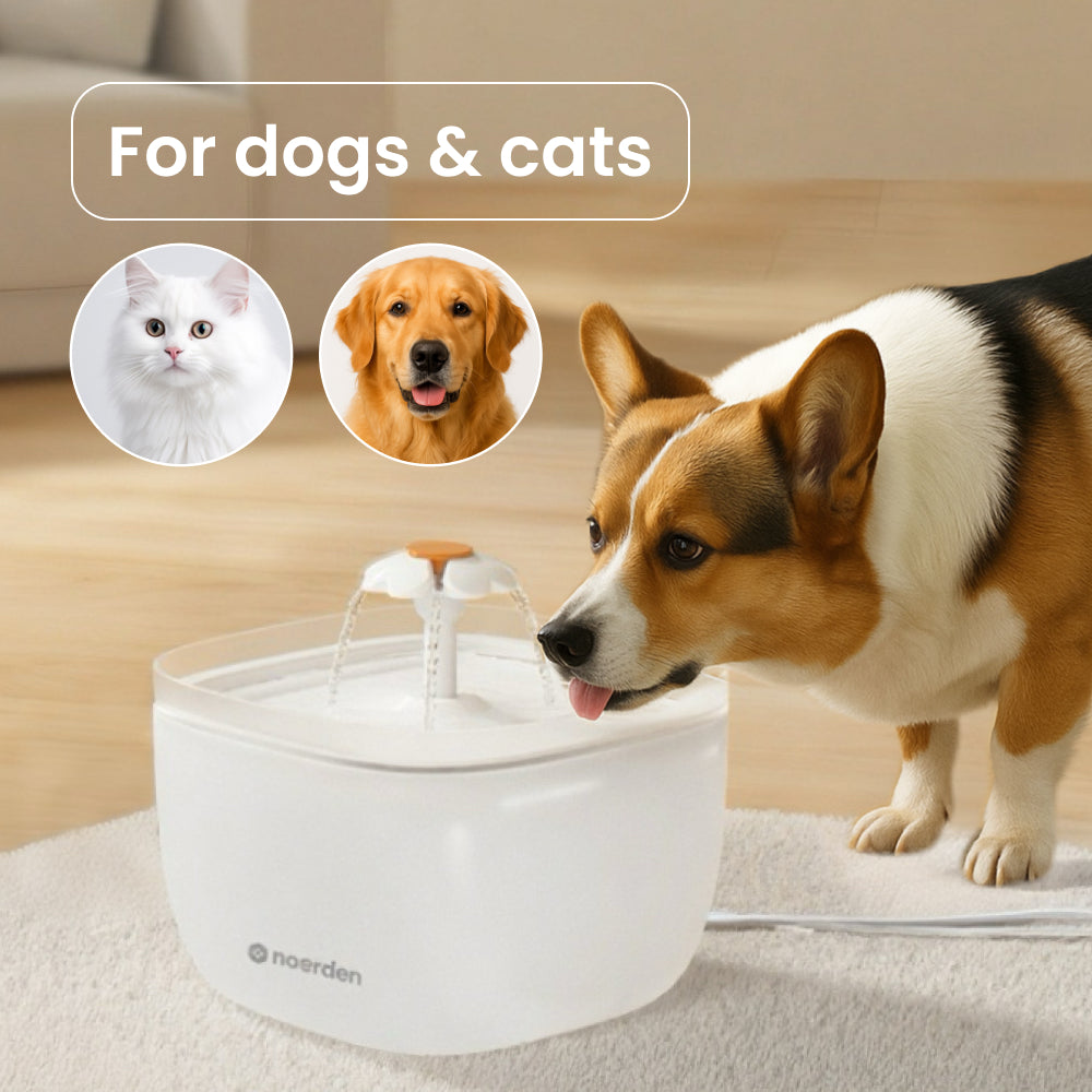 PawQuench Pet Water Dispenser