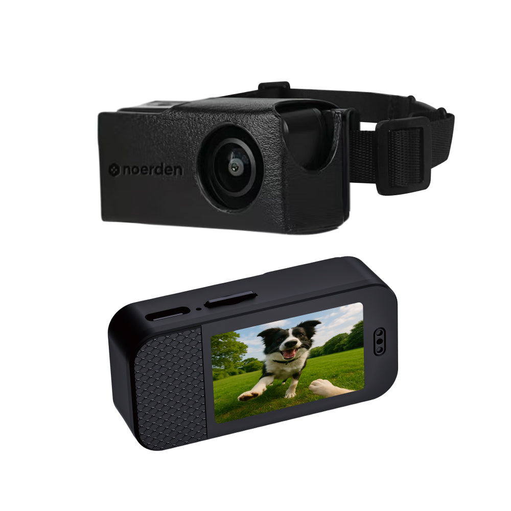 PetPOV HD Pet Camera Collar