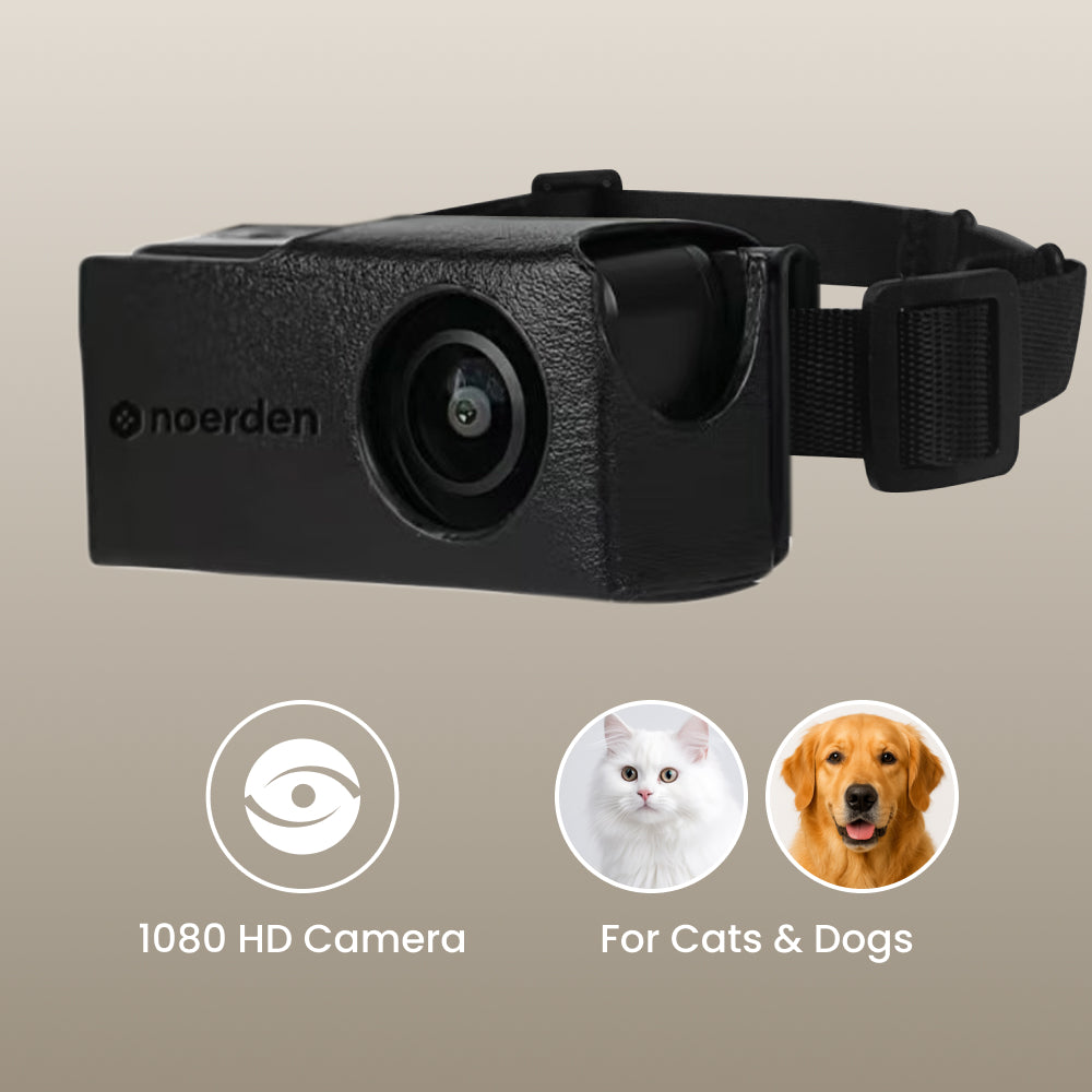 PetPOV HD Pet Camera Collar