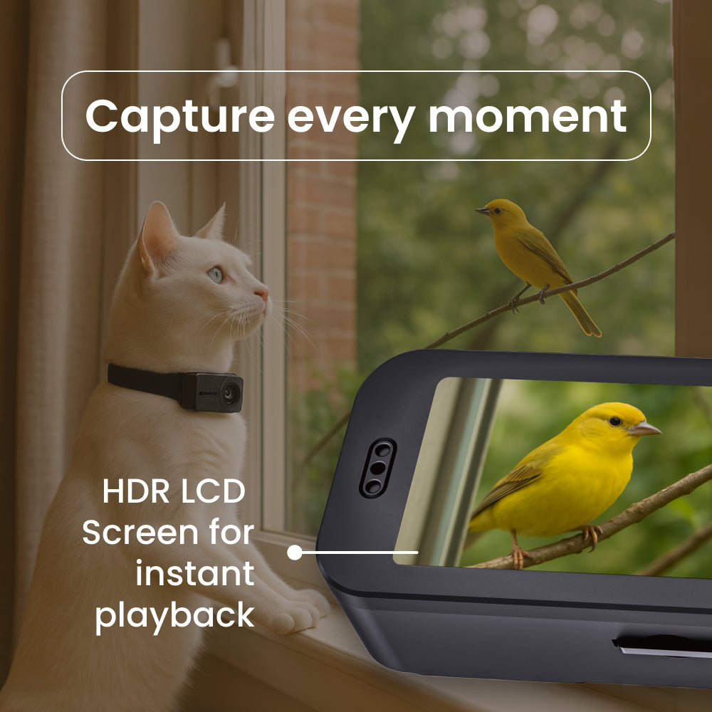 PetPOV HD Pet Camera Collar
