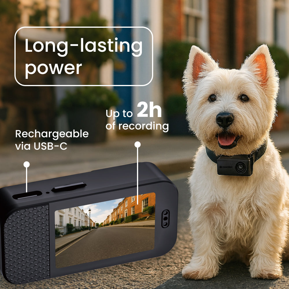 PetPOV HD Pet Camera Collar