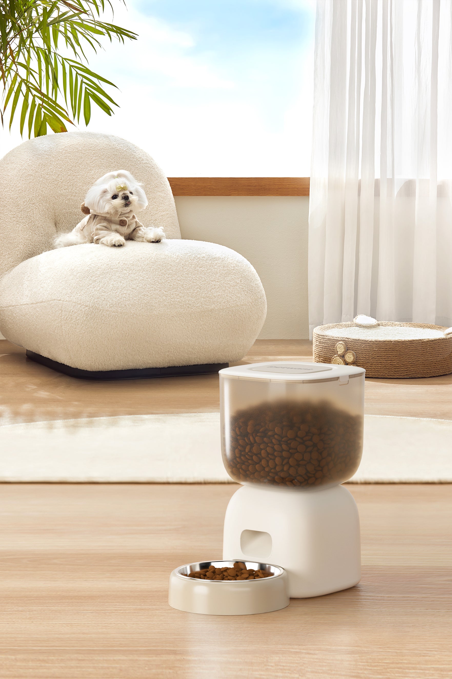 Automatic Pet Feeder