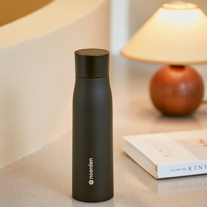 LIZ+ UV Water Bottle - Black