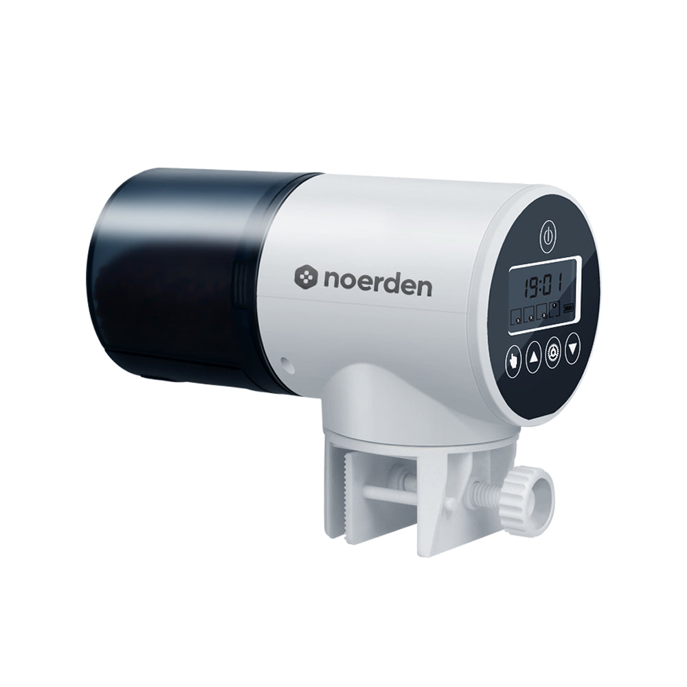 Bubbly Automatic Fish Feeder with Digital Screen