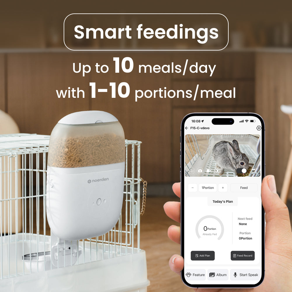 Hoppy Small Animal Camera Feeder