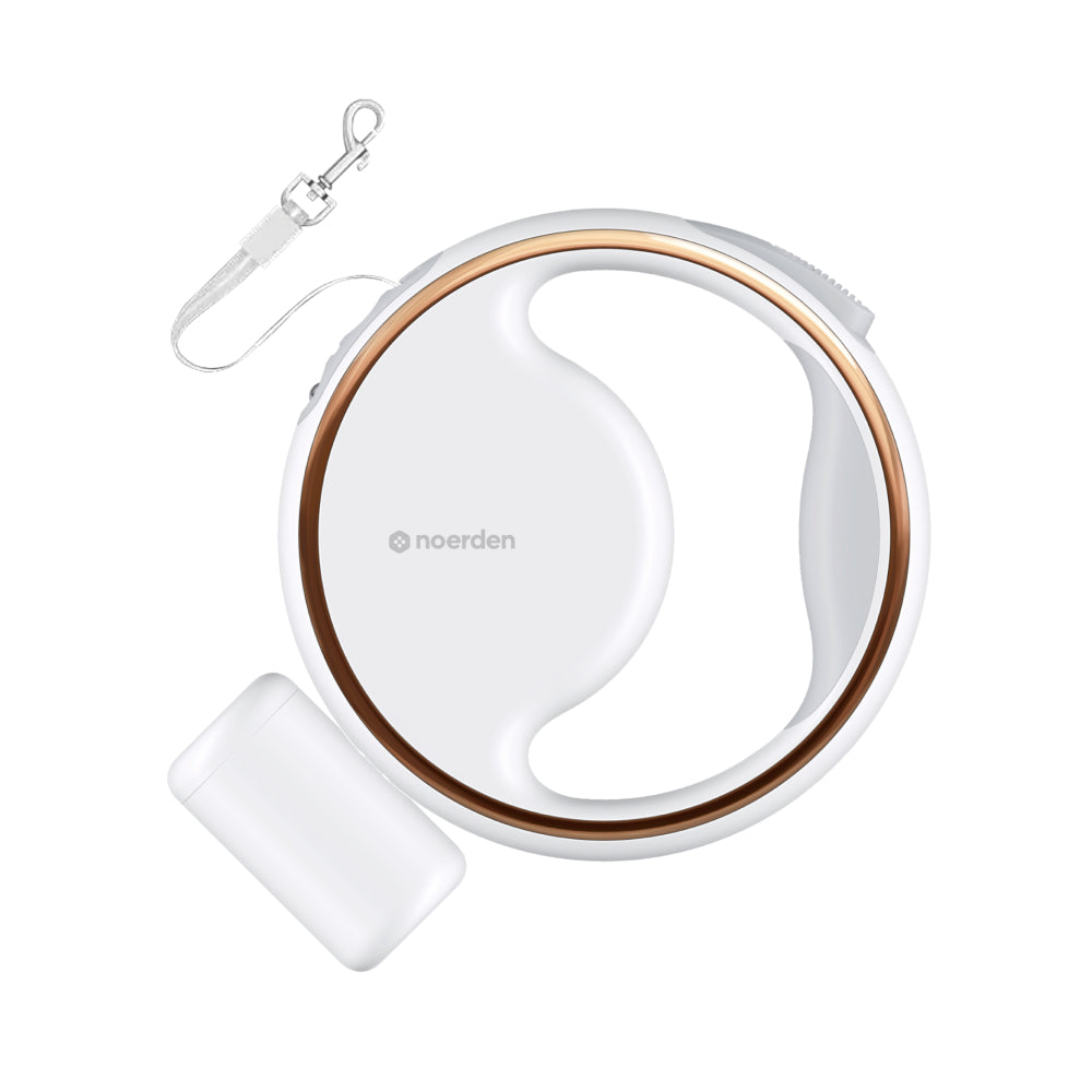 Lumi 4-in-1 Leash with LED torch & bag