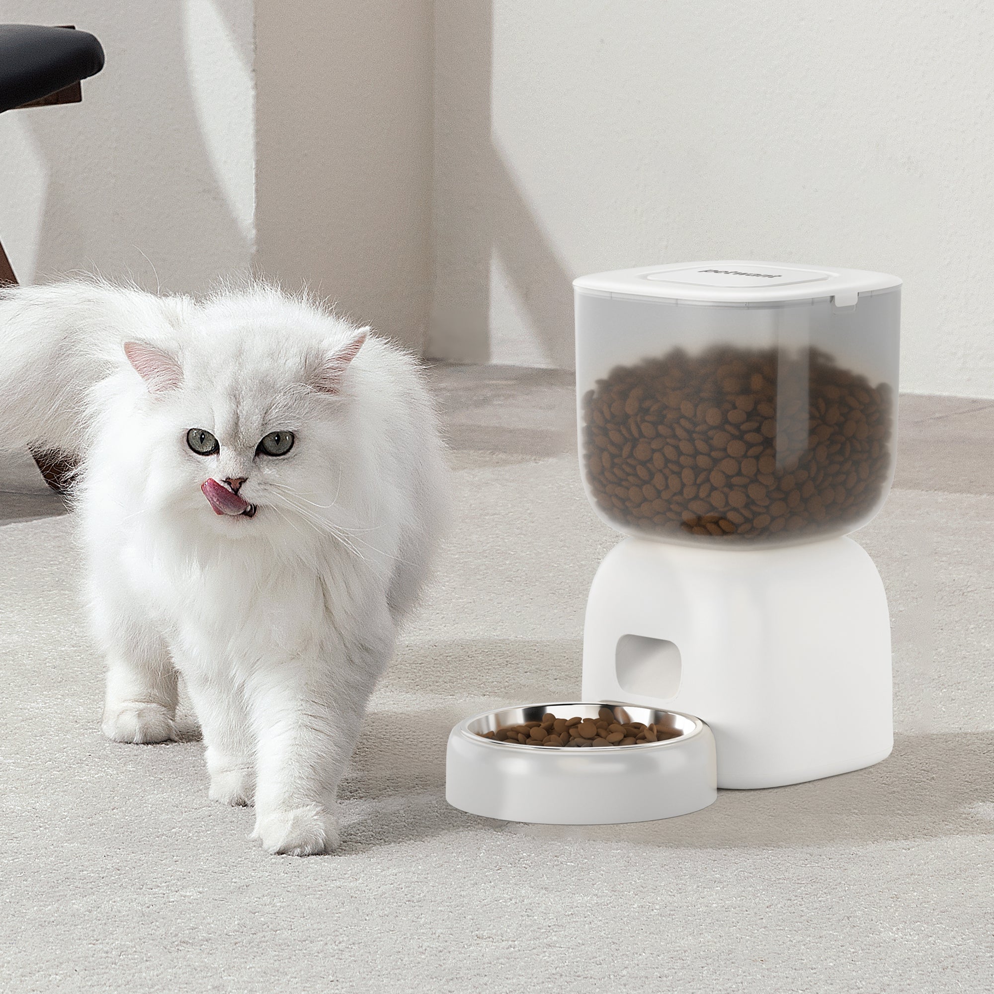 Automatic Pet Feeder