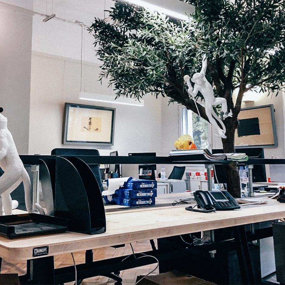 Open space bright environment with wooden desks and a fake olive tree with a white monkey lamp holder