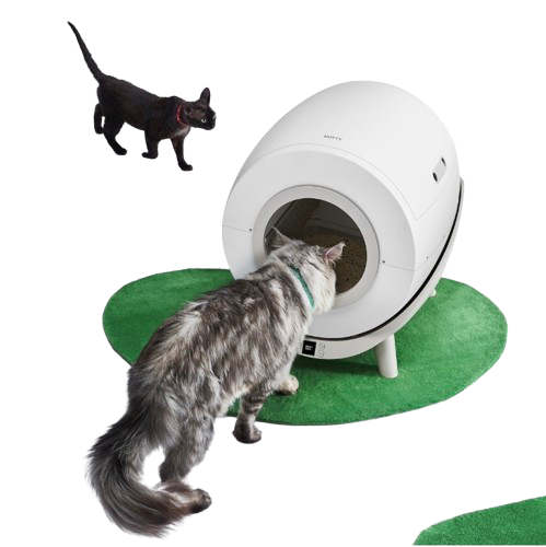 Smart Cat Litter Pro